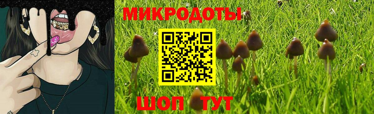 Еманжелинск  Псилоцибиновые грибы мицелий  Вход с VPN 